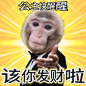 公主快醒醒 - 小红书