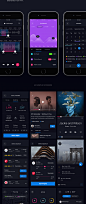 UI Kits : Pin is a huge set of pre-made UI elements that will help you to speed up your app design process. With hundreds of UI elements like buttons, switchers, tabs, bars, and over 50 combined blocks with useful tools like cards, popovers, charts and wi