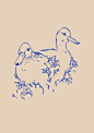 Blueberry, Blueberries, Ducks, Sorsat, Drawing, Illustration, Kuvitus, Kuvittaja, Lineart, Procreate, Piirtäminen, Taide, Art, Illustrations, Animals, Birds