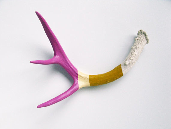 Painted Antler - SMA...