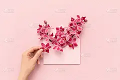女性的手和兰花在粉红色的信封里作为礼物。