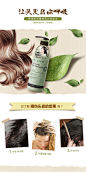 250详情页 描述模板 代理商 洗发水护发精华素，美发护发，清新手绘韩式风格