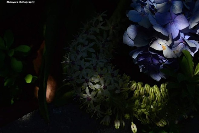  by Photographer Zhe...