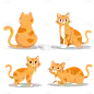 手绘可爱橘色猫咪