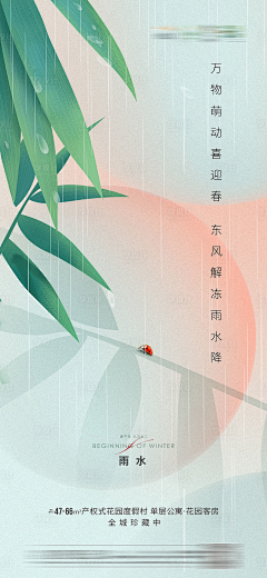 这个夏天没有萤火虫采集到排版