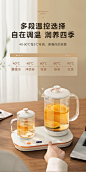 美的养生壶家用多功能烧水壶加热水杯养生杯二合一煮茶壶花茶壶-tmall.com天猫