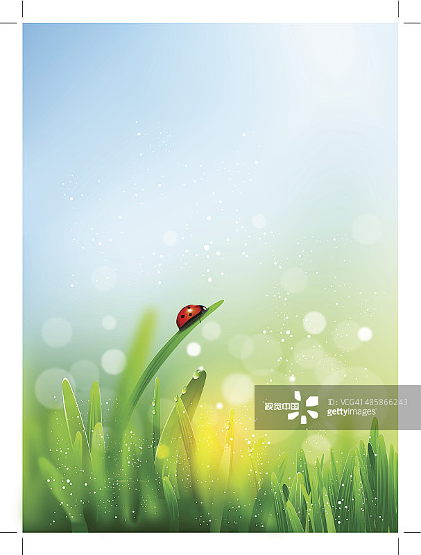 春天,植物,雨,昆虫,水滴正版图片素材