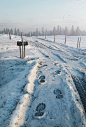 Snow, Guilherme Henrique : Artwork for the "How to make snow" tutorial by Blender Guru.

You can check it here: http://www.blenderguru.com/tutorials/make-snow/

Snow made with a 4K displacement map, around 20 million polys in the whole scene.