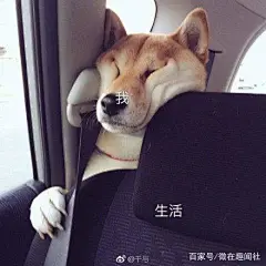 最全「生活与我」表情包合集，是谁把我摁在光滑的地上摩擦？