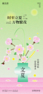 弥散风立夏海报