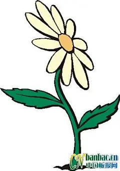 第十二组黑板报花朵类插图欣赏_共八张