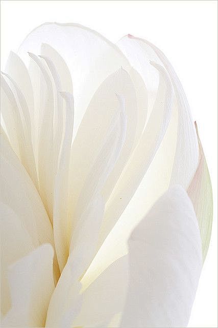 Pinterest : Discover...
