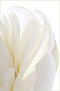 Pinterest : Discover recipes, home ideas, style inspiration and other ideas to try.