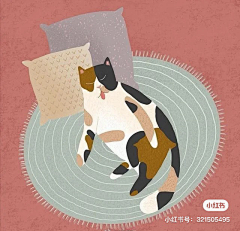 刃兔兔采集到猫