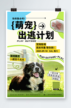 用户FdnqBYxr采集到狗粮