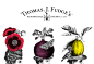 Thomas J Fudge’s on Behance