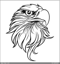 com老鹰雄鹰大鹏展翅苍鹰鹰动物流光溢彩闪亮光线线条猛禽翅膀展翅鸟