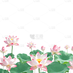 听~风起雨落采集到毕业季