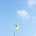 潇潇8