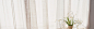 窗帘,白色,海报banner,文艺,小清新,简约图库,png图片,网,图片素材,背景素材,115319@北坤人素材
