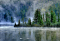 woodendreams:<br/>(by Shuchun Du)<br/>