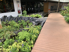 -加班艺术家-采集到雨林景观