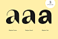 Magnat / Font Family : Magnat is a contemporary contrasting sans in 3 optical sizes and 36 styles. It loosely draws inspiration from designs from the early twenties century and expands them into an elegant and distinctive contemporary design.In order to m