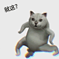 憨憨猫 就这？ - 憨憨猫Mur猫表情包系列