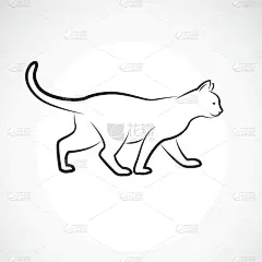 动物,宠物,猫,白色背景,可爱的,计算机,简单,步行,站