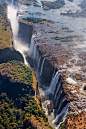 风景,鸟类,莫西奥图尼亚瀑布,赞比亚,津巴布韦,生态旅游,自然,垂直画幅,水,景观设计