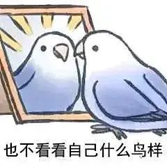 【表情包】发点色禽图片（70张）