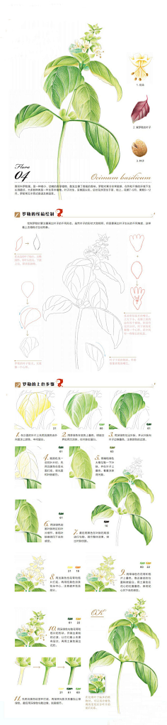 路边大野猫采集到彩铅教程(静物)
