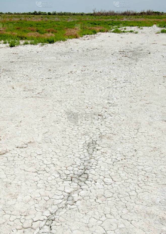 草原盐渍土。在盐的盐渍盐。草原草原草原草原。盐渍土的沙漠、 盐的湖泊。死气沉沉的焦土。光秃秃的哈萨克
