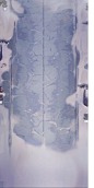 sactx-0-512x1024-ETC2-Textures_Map_ZDCJ_10193-4d33473e