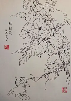 叶志军先生的钢笔白描花卉作品