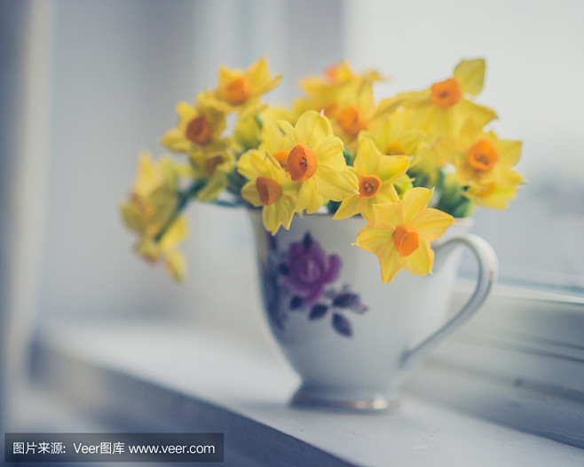 水仙花水仙花
Daffodils in ...