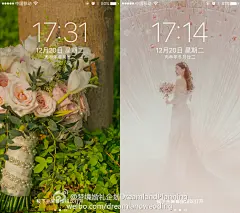 小仙女们～圣诞节快到啦，小天使要给大家送点小福利啦
转发以下梦境屏保并@ 你最想共度圣诞的ta,11.24晚抽出三位粉丝，敲门送上圣诞大礼包一份
另外在转发评论许愿的小伙伴里抽一位实现圣诞愿望啦
（想要壁纸的小伙伴请直接截图私信小编哦...展开全文c