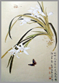 现代国画欣赏---蝴蝶与花（1） - 东方散人 - 敬 学 博 客
