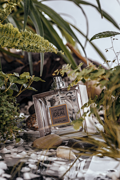 com采集o_jiang采集到详情素材the sheer floral scent of cashmere