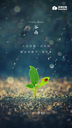 大侠iyy采集到谷雨
