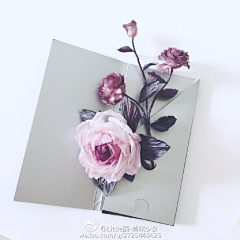 小米谷0612采集到烫花