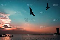 日落时，蓝色和红色天空上海鸥和渔船的剪影。