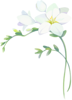 绯夜纱舞采集到花鸟鱼虫云