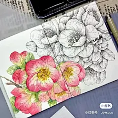 水彩---花卉 - 高清图片，堆糖，美图壁纸兴趣社区