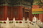 【有凤来仪】by：摄影师蝈蝈小姐