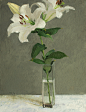 Casa Blanca Lilies，2021