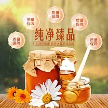 创意蜂蜜海报设计PSD 蜂蜜广告设计 蜂蜜宣传单 蜂蜜展直通车设计DM  小雏菊 蜂蜜主图