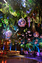» Jungle Party