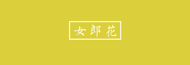 女郎花