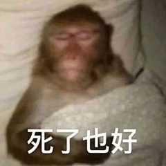 kao靠窗采集到L-表情包